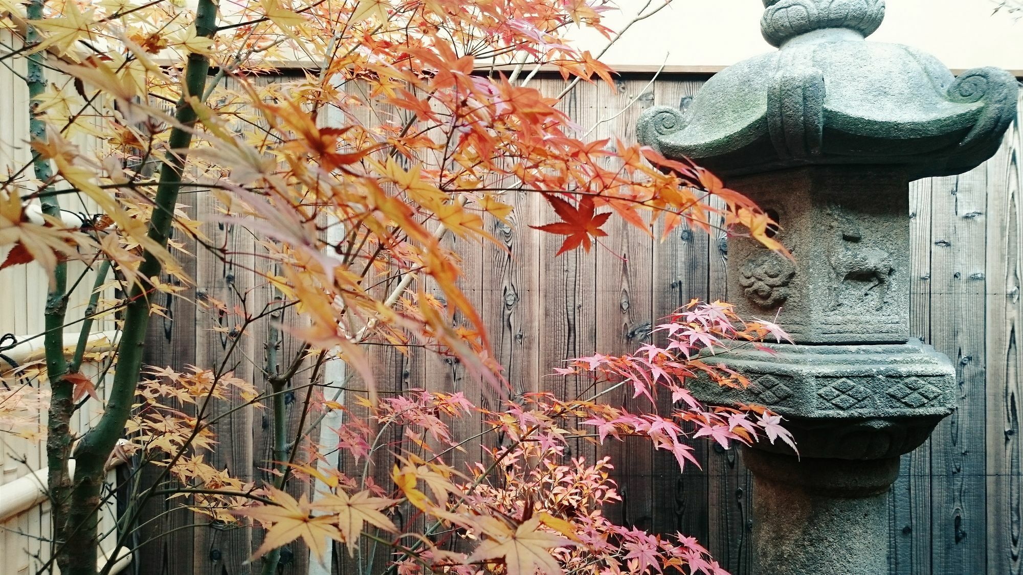 Guest House Bokuyado Kyoto Bagian luar foto